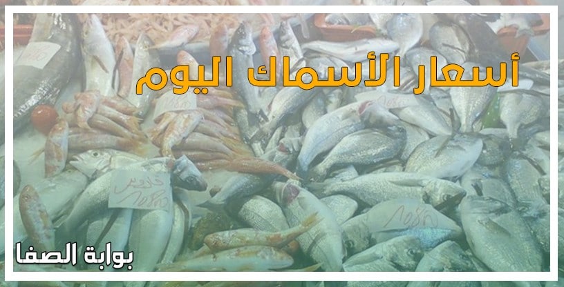 أسعار الأسماك اليوم الاربعاء 13-5-2020 بسوق العبور