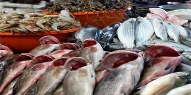 صورة أسعار الأسماك اليوم الاحد 10-5-2020 بسوق العبور