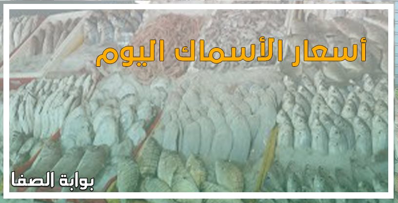 صورة أسعار الأسماك اليوم السبت 16-5-2020 بسوق العبور