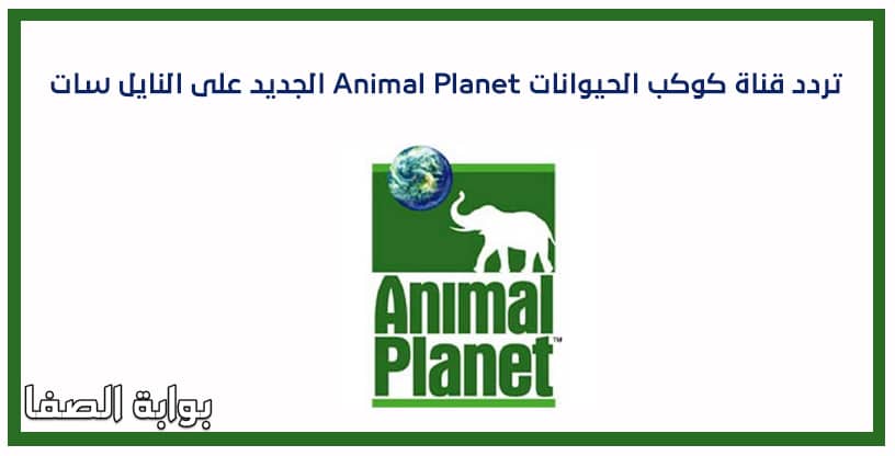 تردد قناة كوكب الحيوانات Animal Planet الجديد على النايل سات