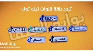 صورة تردد قنوات تيك توك TekTok الجديد 2021 علي النايل سات – قناة تيك توك سينما و دراما وأغاني