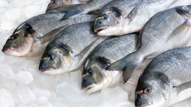 صورة اسعار الاسماك بسوق العبور اليوم الأربعاء 6-1-2021