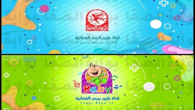 صورة تردد قناة طيور بيبي Toyor Baby وقناة طيور الجنة Toyor Al-Janah الجديد 2021 على النايل سات والعربسات