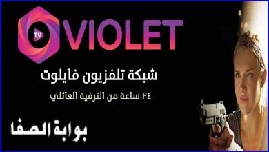 صورة تردد قناة فايلوت تي في Violet Tv الجديد 2021 علي القمر النايل سات .. افلام اجنبي